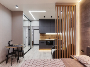 Квартира Студия на Е. Сагандуковой