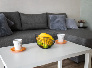 Квартира Elena Apart