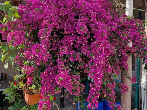 Гостевой дом Шапсугская 6А