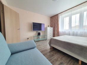 Апартаменты Живи Уютно Большой дружной семьей