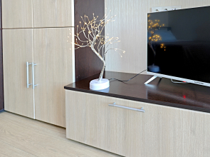 Квартира у ТЦ Мега