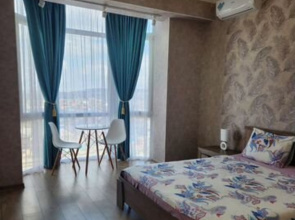 S Vidom Na Gory Apartments