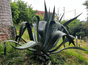 Nagornaya