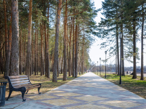 Квартира Лесная поляна