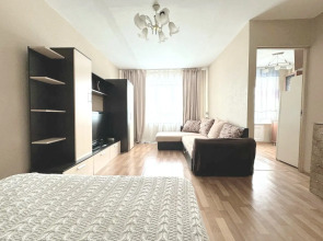 Квартира однокомнатная в центре на Дарвина