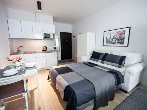 Апартаменты Первый Лиговский 271Б (3)