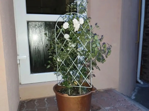 Гостевой дом Бамбуковый Рай