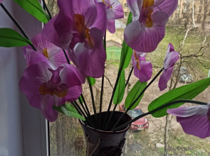 Квартира вцентре города рядом Кремль и все достопримечательности