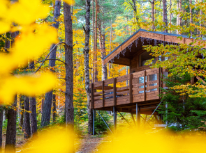 Отель Нарния