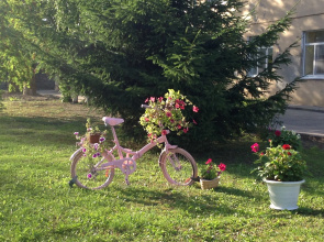Ogni Zaliva Mini Hotel