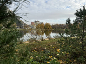 Квартира 2-к рядом с м.Свиблово