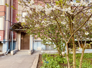 Квартира InterCity