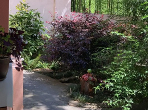 Гостевой дом Бамбуковый Рай