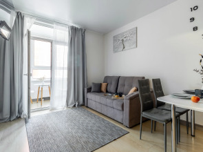 Апартаменты Большая трехкомнатная квартира в центре Нижнего Новгорода