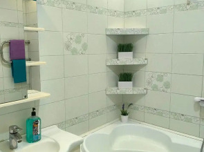 Квартира Однокомнатная на Землячки (14)