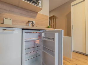 Апартаменты Улучшенные Трехместные SalutApart 8