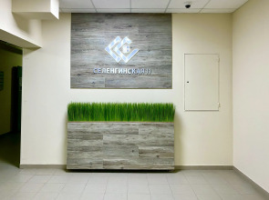 Квартира Лес Двухкомнатная квартира с шикарным Видом на Волгу