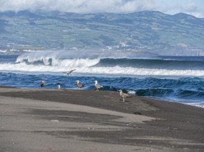 Hotel Verde Mar & SPA