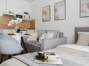 Апартаменты Вгости161