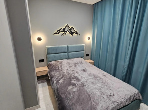 Квартира Олимпийская 87