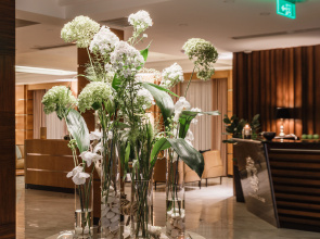 Ateca Hotel Suites