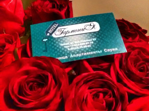 Гостиница Гармония