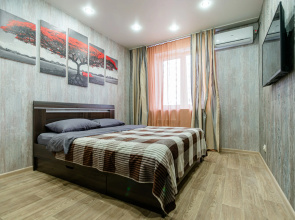 Komfortnaya, prostornaya dlya raboty i otdykha Flat