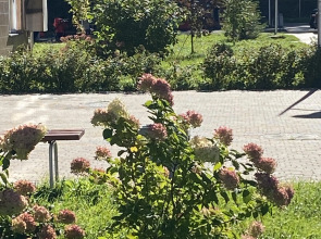 Апартаменты Оливия возле Озера