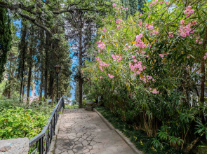 Парк-Отель Актер