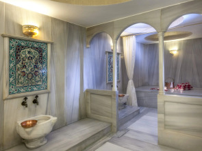 Отель Yasmak Sultan