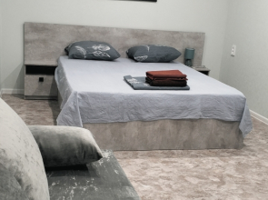 Квартира 1к Володарского 15 Центр