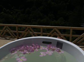 Бутик-отель Фазенда