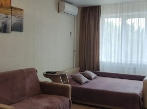 V Tsentre Dzerzhinskogo Rayona Flat