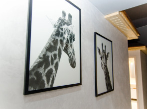 Отель Сафари