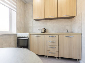 Апартаменты Домино по ул. Устиновича 14