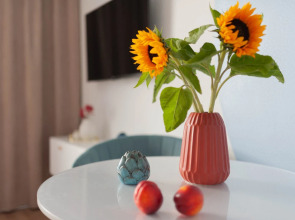 Апартаменты Yar Cozy Aparts на Волге для 4 х Гостей