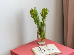 Апартаменты Доходный Дом Малого Мраморного Дворца