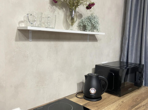 Квартира студия в центре города 50 оттенков серого