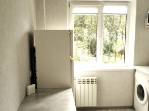 Квартира 1к Володарского 17