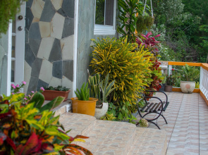 Mountain view St Lucia Apartments