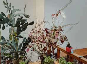 Отель Old Yerevan