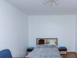 Apartamenty 1-kom. kvartira na Emel'anova 35A (3)