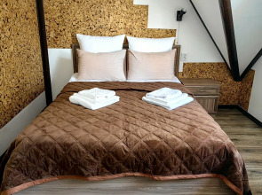 Апартаменты 2 Хоум Раушен в Светлогорске