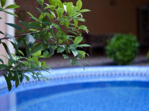 Отель Billuri Sitora