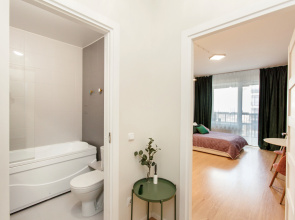 Апартаменты RoomyRoom Moskovskaya