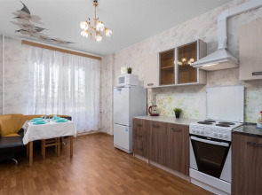 Апартаменты FlatHome24 Пр Луначарского 11/3