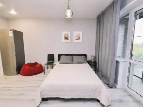 Стильные апартаменты