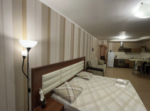 Апартаменты Саквояж Большая Подгорная 57