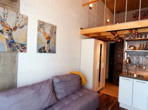 Апартаменты Duplex Loft 1