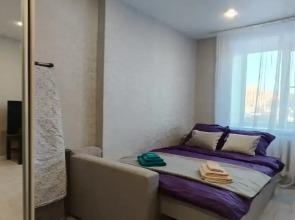 Квартира 1 комнатная  Квартира рядом с парком Швейцария